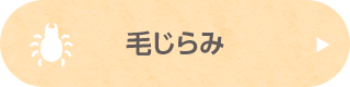 毛じらみ